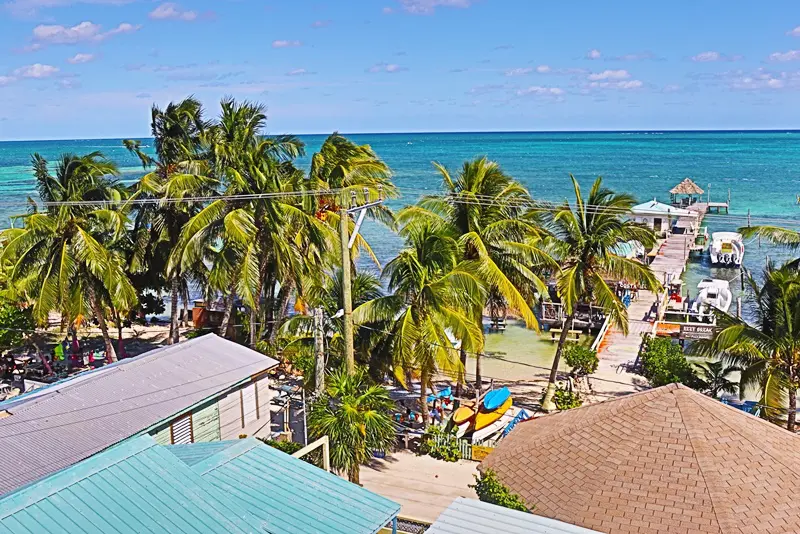 A beach with palm trees and blue skies