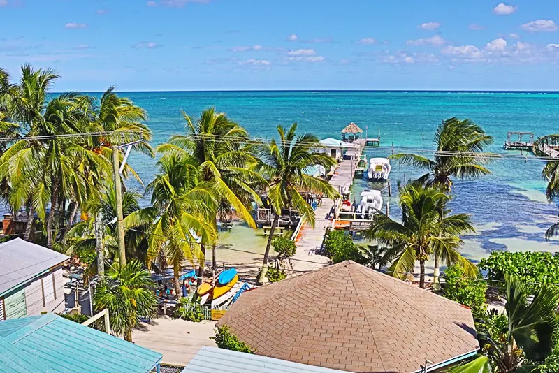 A view of the ocean from above shows palm trees, beach huts and a boat dock.