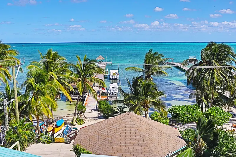 A beach with palm trees and blue water