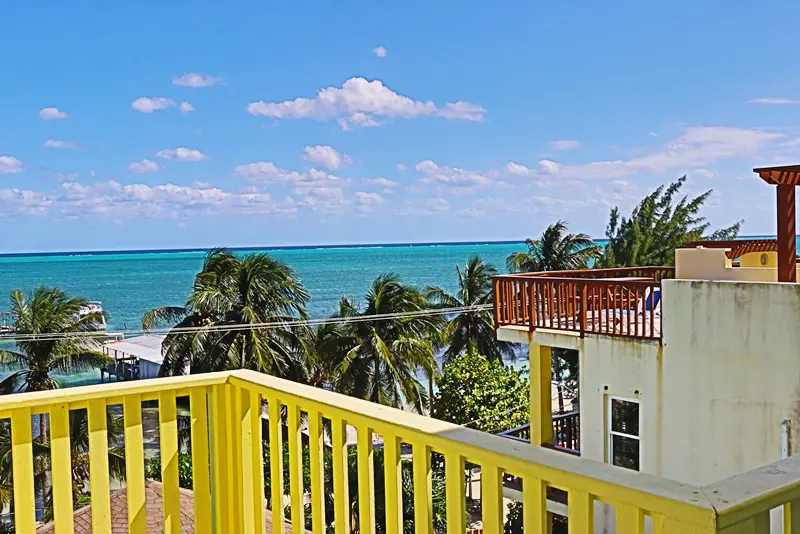 A balcony with a view of the ocean and palm trees.