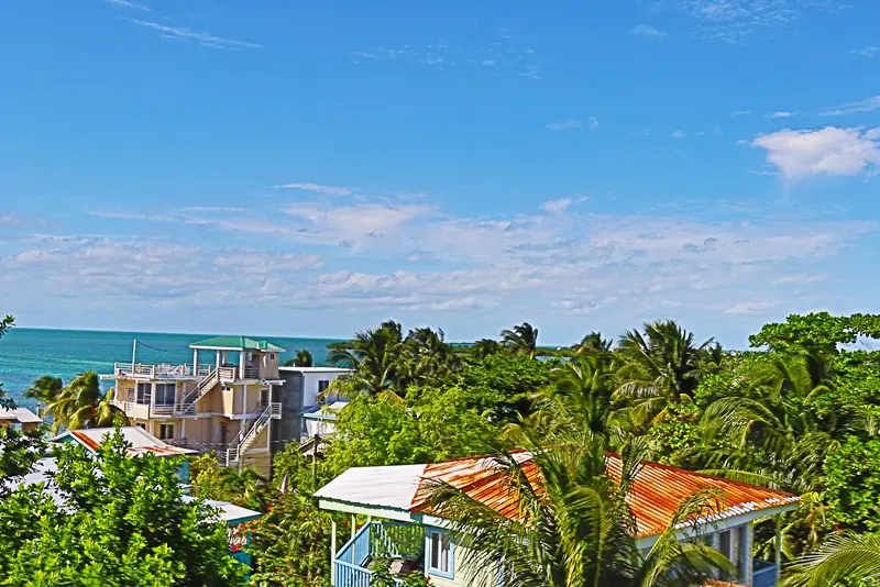 A view of the ocean from above, with palm trees.