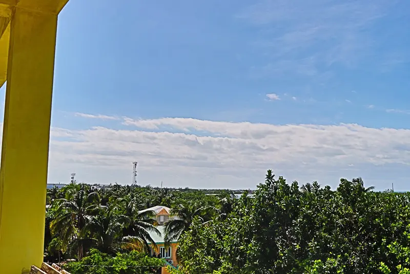 A view of trees and the sky from above.