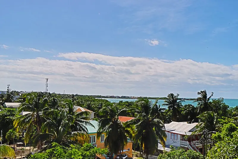 A view of the ocean from above, with palm trees.