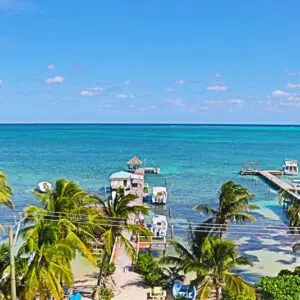 A beach with palm trees and blue water