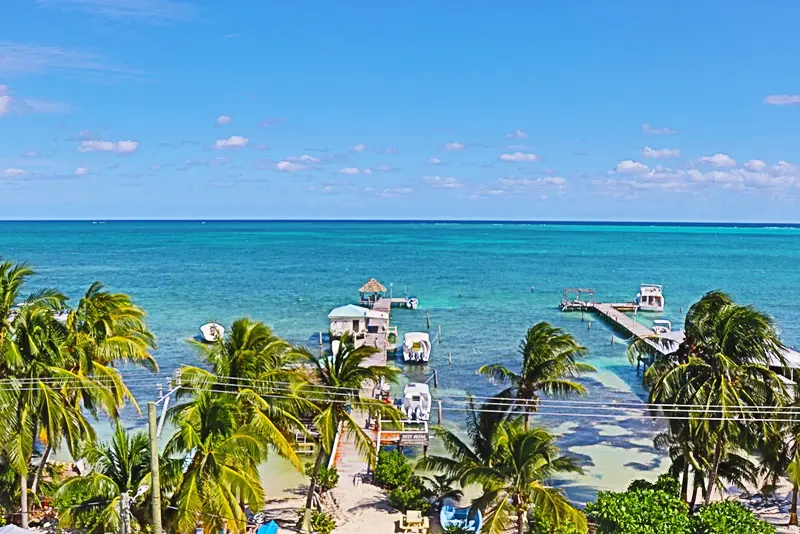 A beach with palm trees and blue water