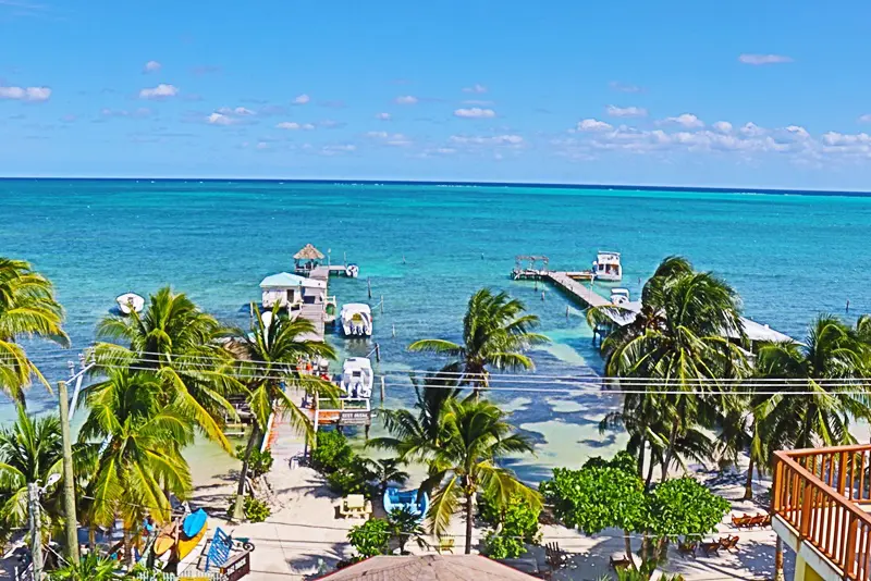 A beach with palm trees and blue water