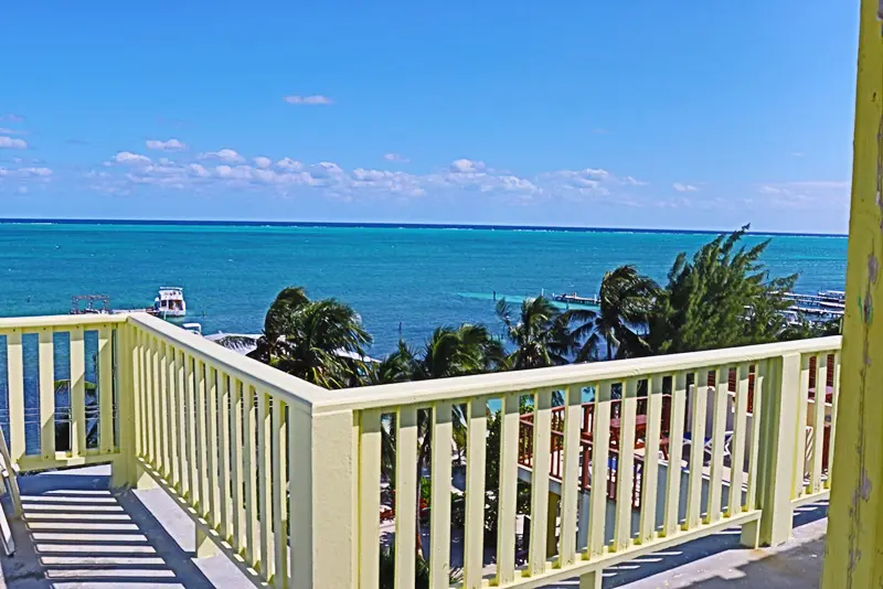 A balcony with a view of the ocean and palm trees.