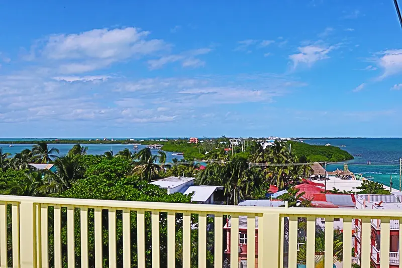 A view of the ocean from an apartment balcony.