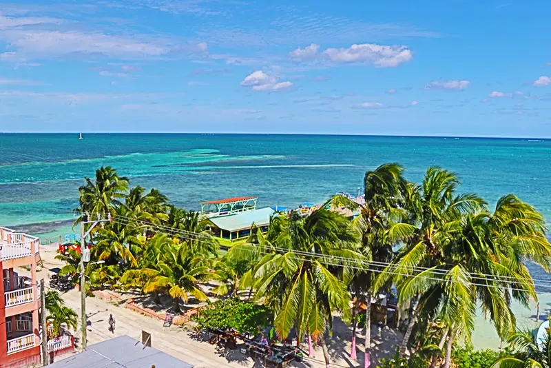 A beach with palm trees and people on it