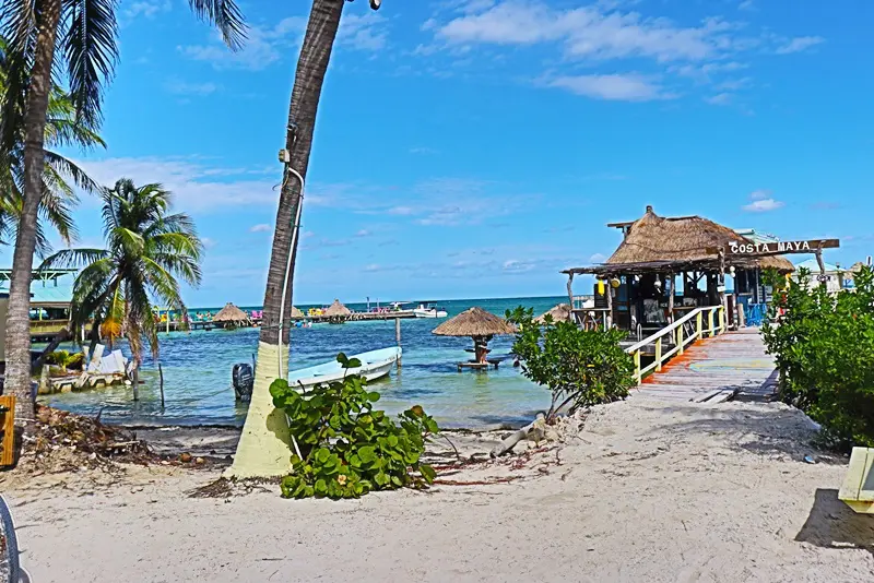 A beach with palm trees and a pier.