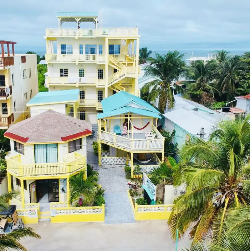 A group of houses on the beach with palm trees.