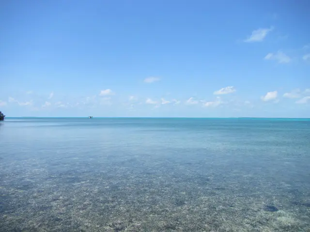 A body of water with clear blue skies and some clouds