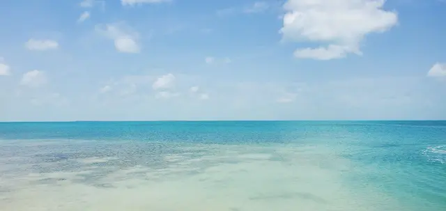 A beach with the ocean and sky in the background