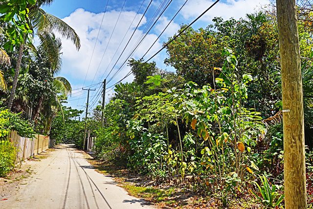 A street with power lines and trees on the side.