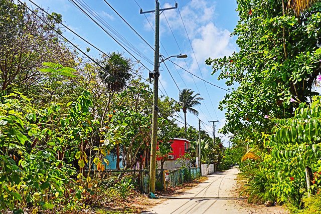 A street with power lines and trees on the side.