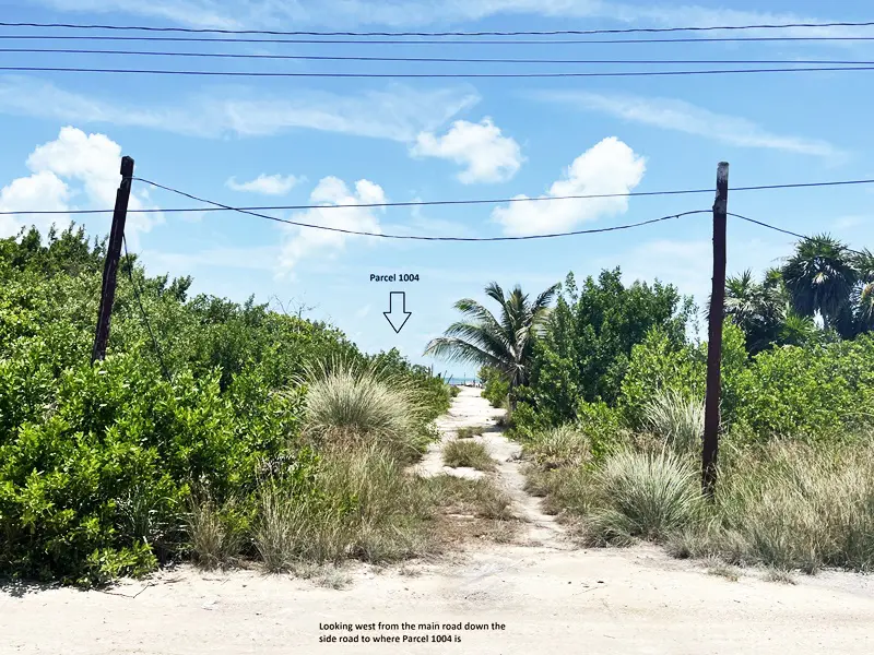 A dirt road with power lines and trees