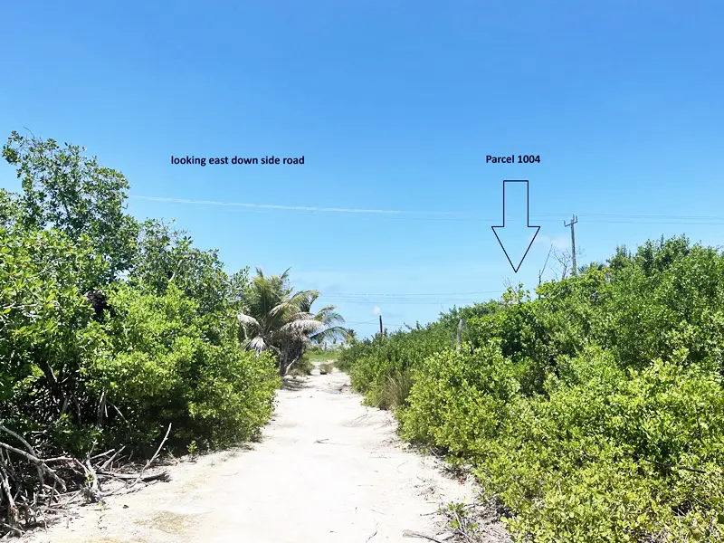 A trail with arrows pointing to the right.