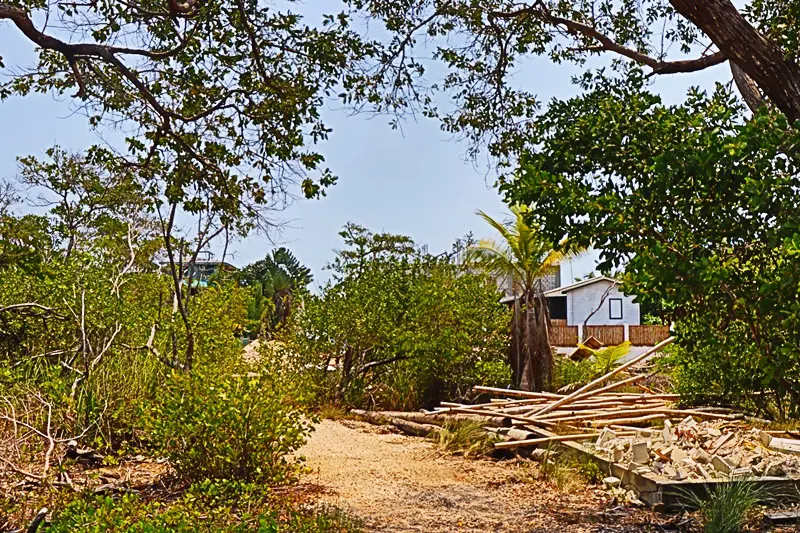 A dirt road with trees and houses in the background.