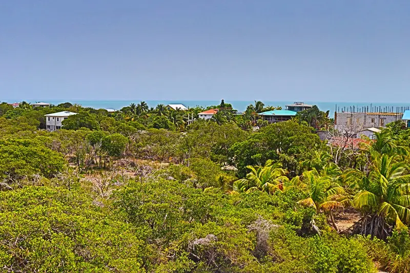 A view of the ocean from above.