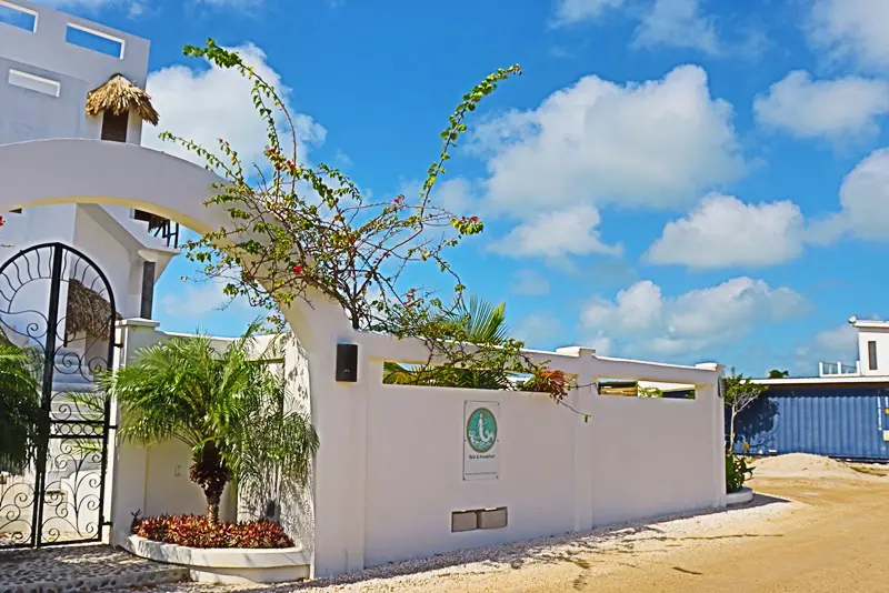 A white wall with a palm tree in front of it.