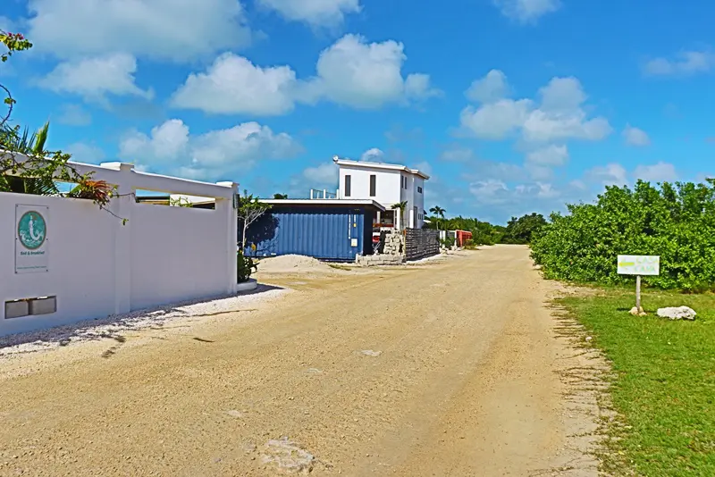 A dirt road with houses on the side of it.