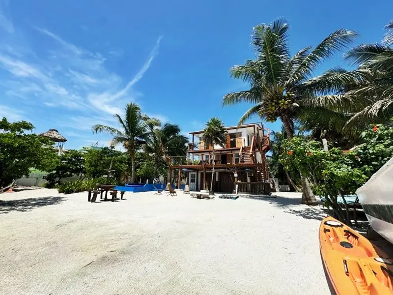 A beach with some trees and a house