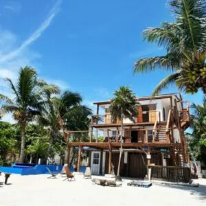 A beach with palm trees and a house on it