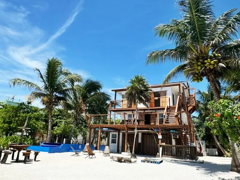 A beach with palm trees and a house on it