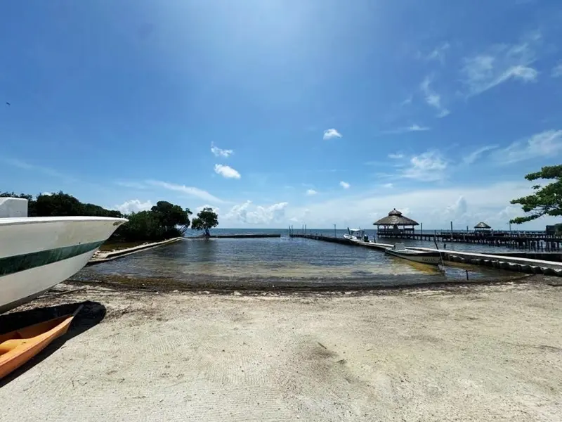 A beach with some water and trees in the background