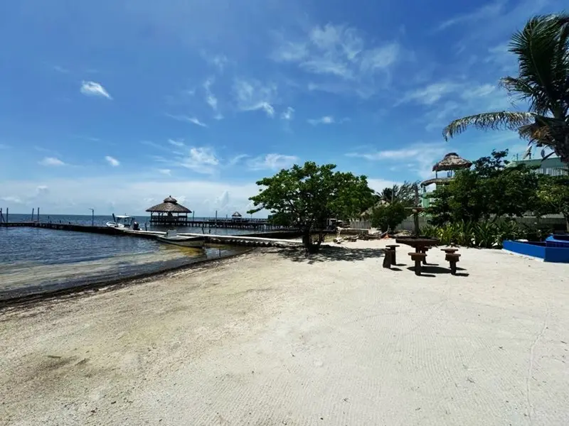 A beach with people sitting on the sand.