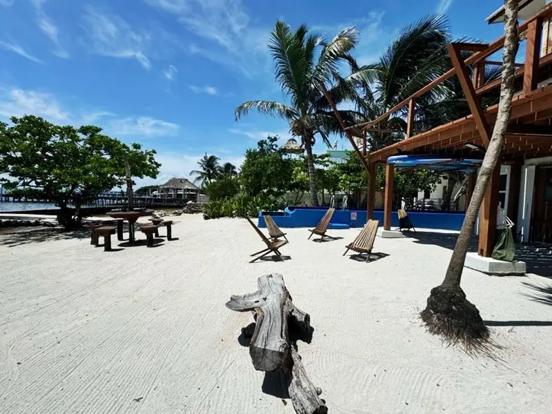 A beach with chairs and tables on it