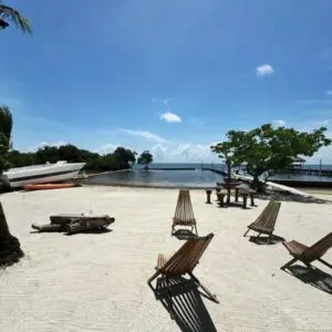 A beach with chairs and trees on the sand