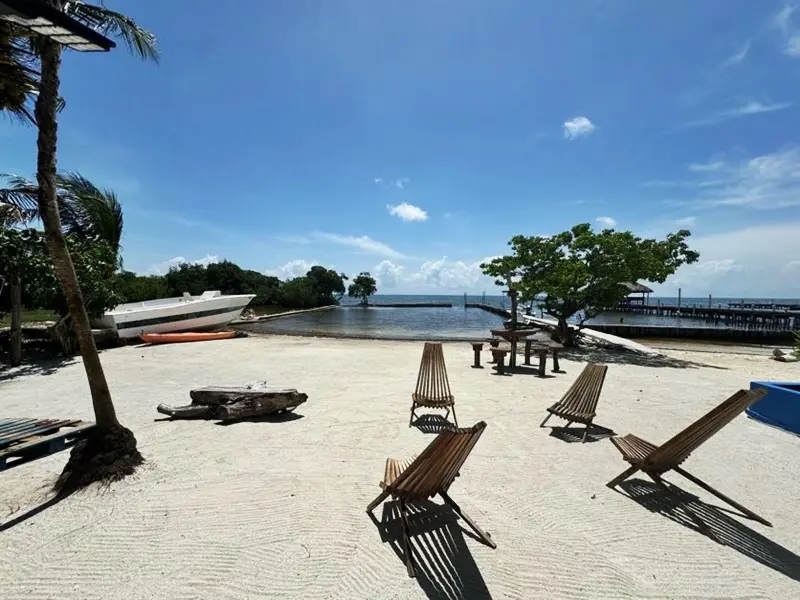 A beach with chairs and trees on the sand