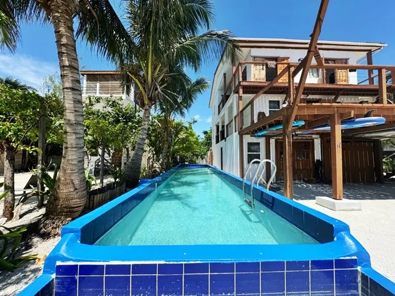 A pool with blue tiles and palm trees in the background.