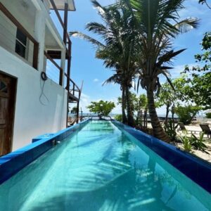 A pool with palm trees in the background