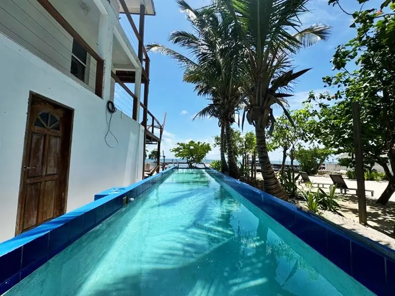 A pool with palm trees in the background