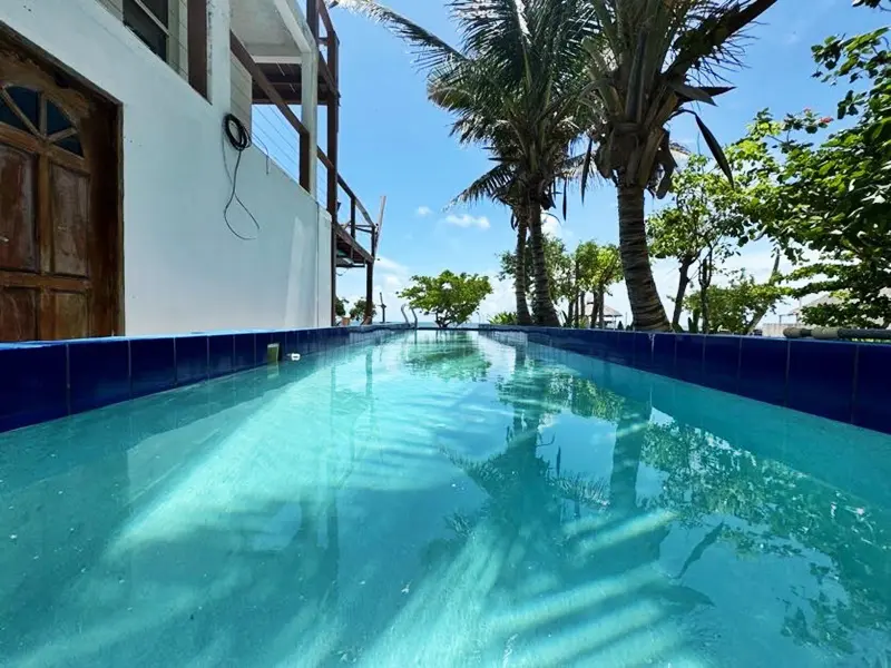 A pool with palm trees in the background