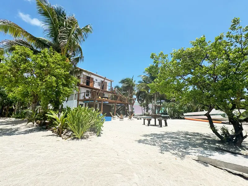 A beach with trees and buildings on it