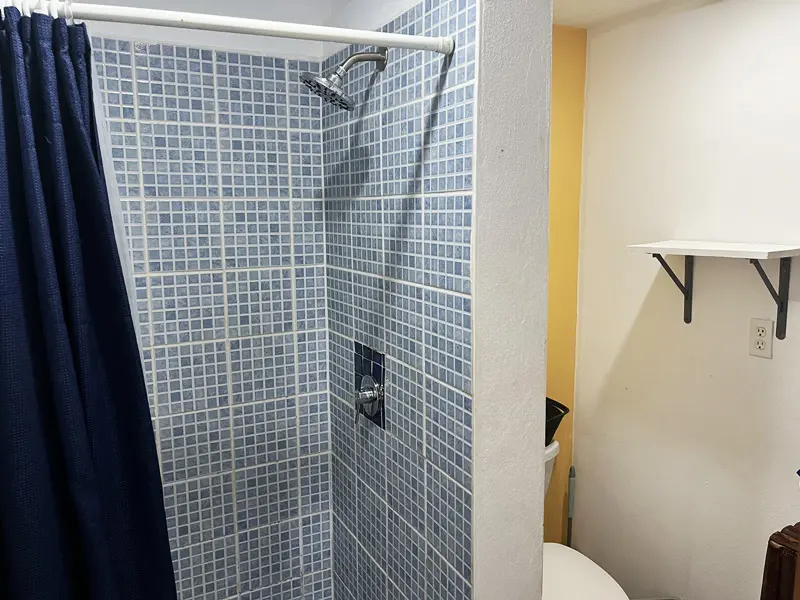 A bathroom with a shower and toilet in it