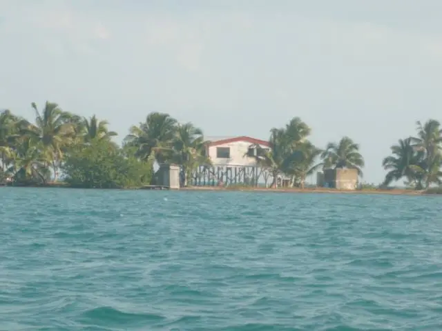 A house on the water with palm trees in front of it.