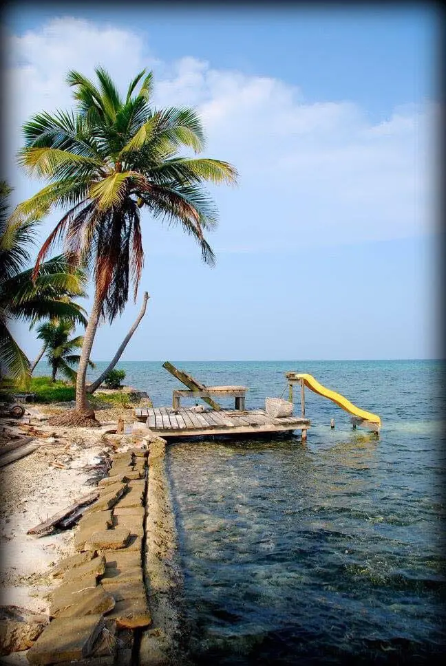 A dock with a slide and palm trees in the background.