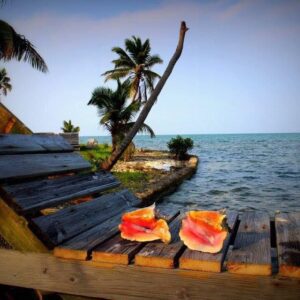 A wooden bench with two sandwiches on top of it.