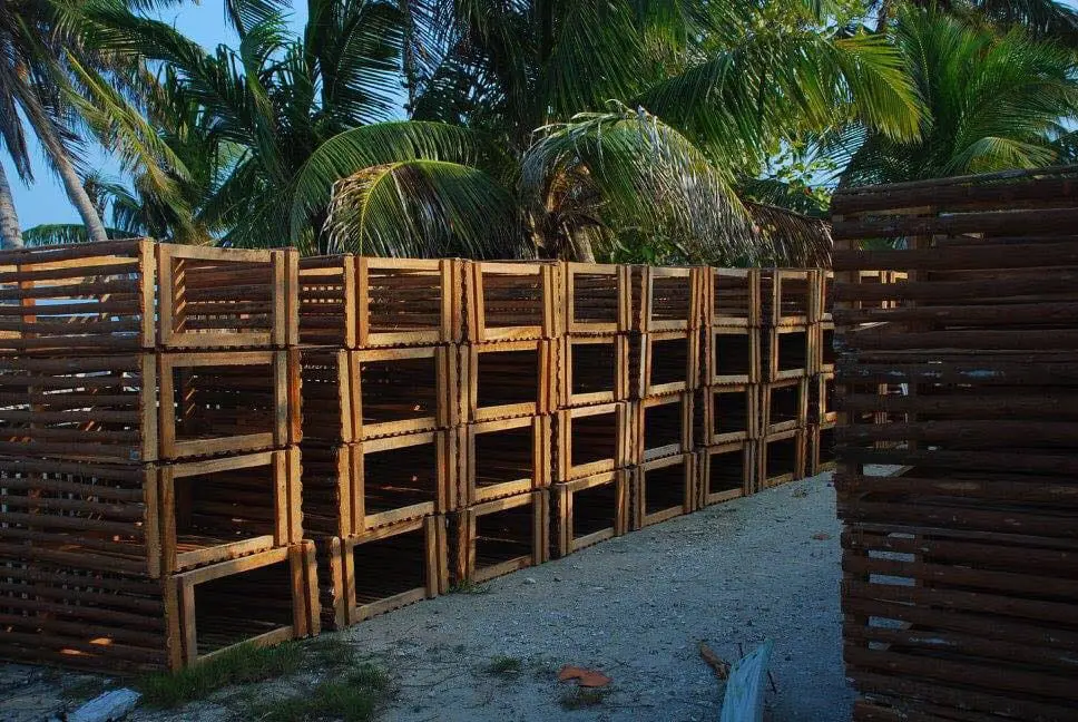 A pile of wooden crates sitting next to each other.