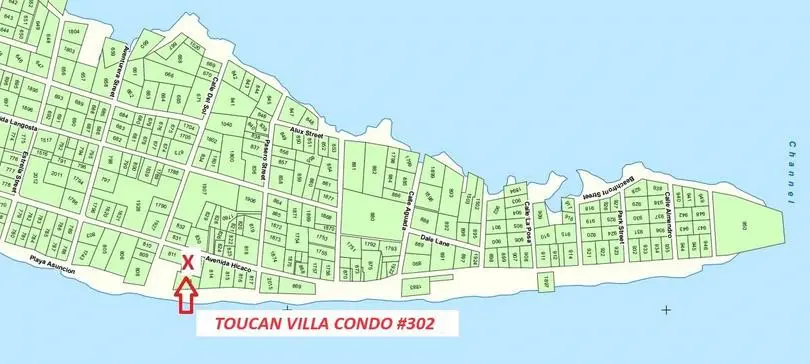 A map of the island with many houses on it