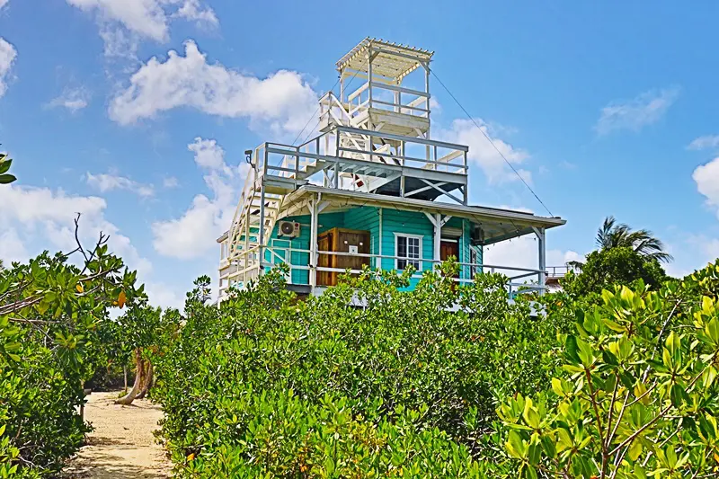 A blue house with a tower on top of it