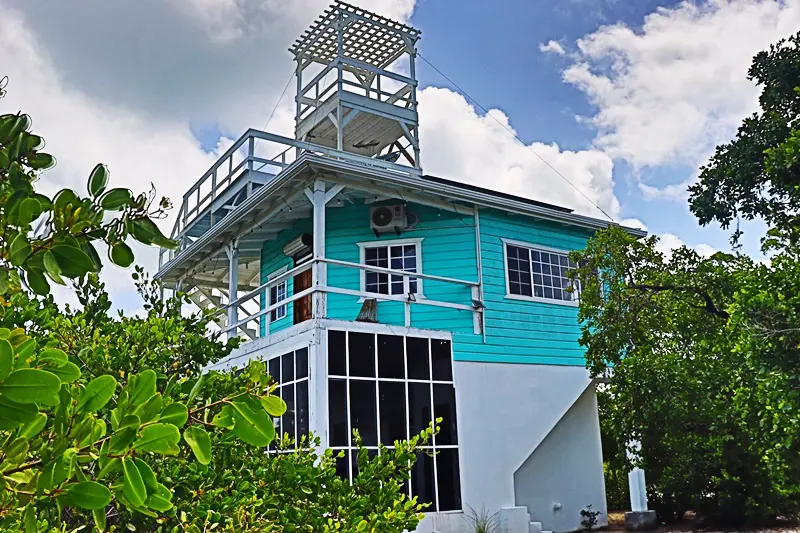 A blue and white building with stairs going up it.