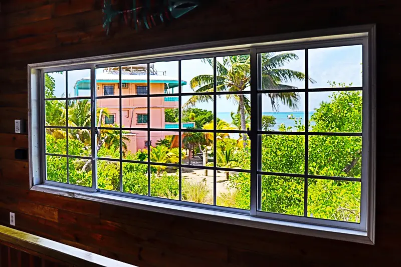 A window with a view of the ocean and palm trees.