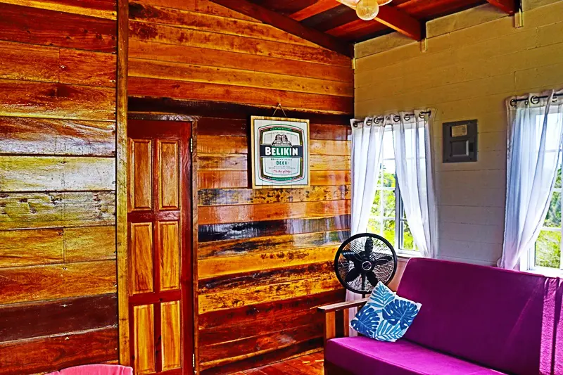 A living room with wood paneling and a purple couch.