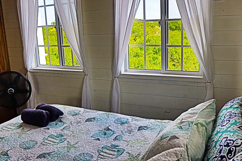 A bed room with two windows and a cat on the bed