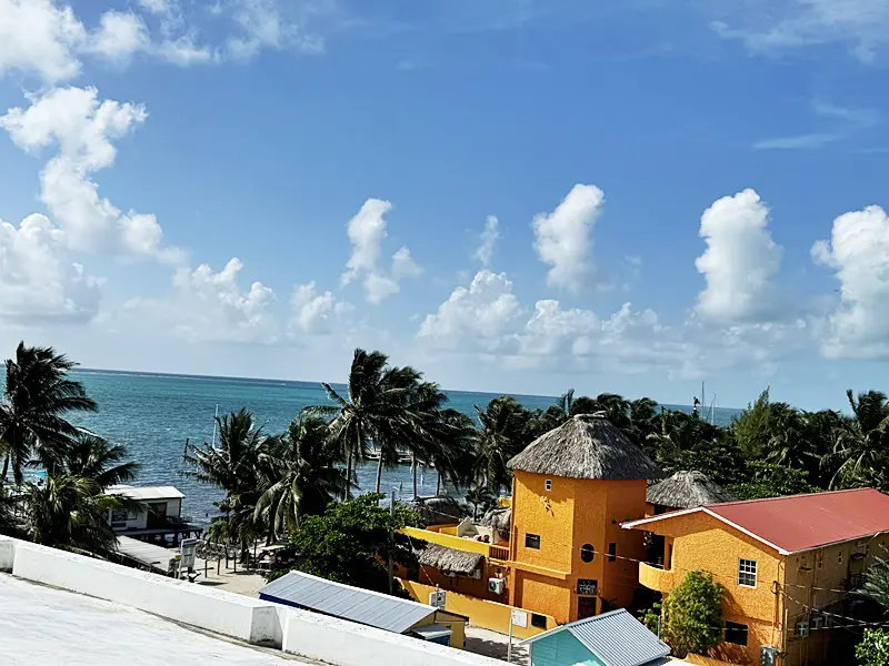 A yellow building with palm trees in the background.